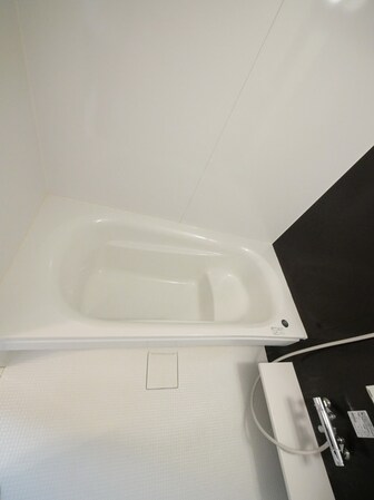 ブリュンヒルトの物件内観写真